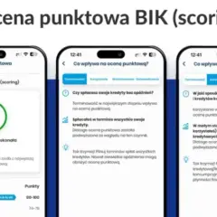Czy Provident wpisuje do BIK? Sprawdź, jak to wpływa na kredyt
