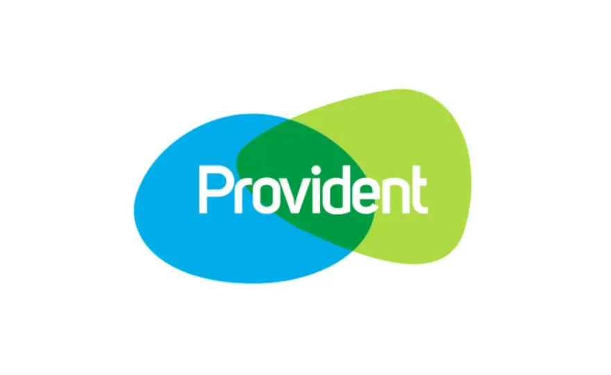 Po jakim czasie Provident oddaje do windykacji? Sprawdź, co musisz wiedzieć