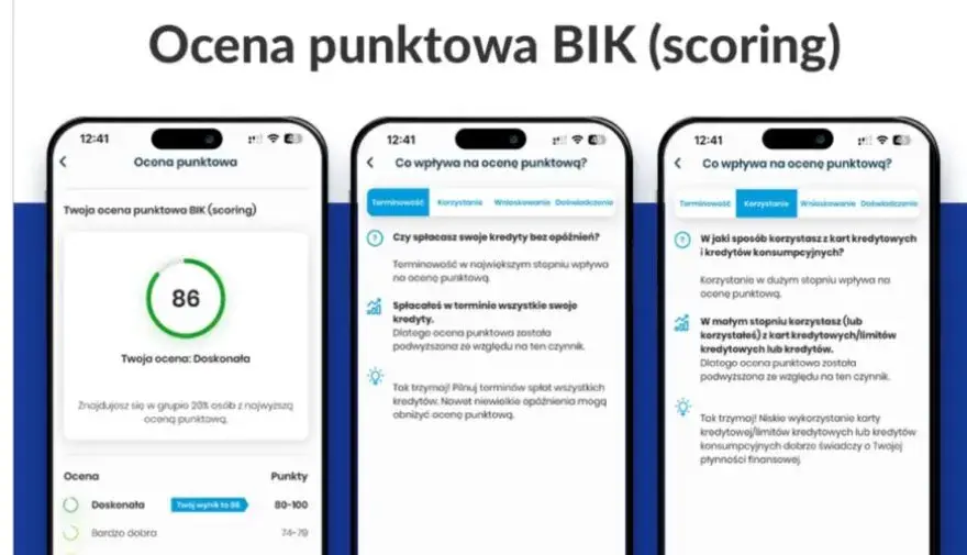 Czy Provident wpisuje do BIK? Sprawdź, jak to wpływa na kredyt